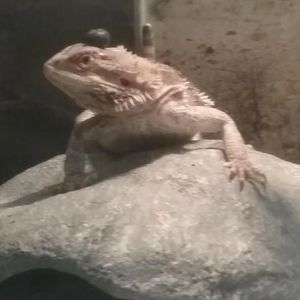 Meet your Posher, Breana